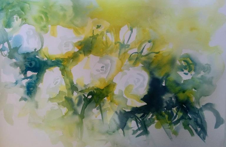 Aquarell Rosen