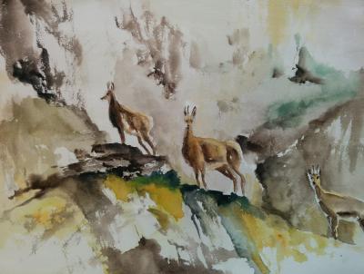 Aquarell Gämsen
