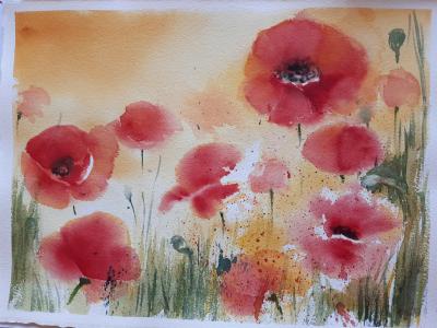 Mohnblumen