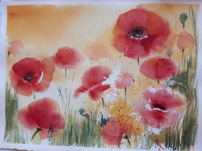 Mohnblumen